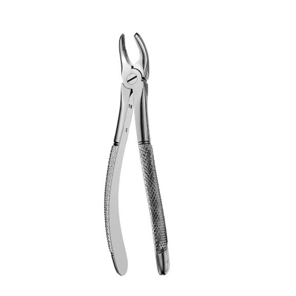 FORCEP-Nº-17-INGLES-GRUESO-
