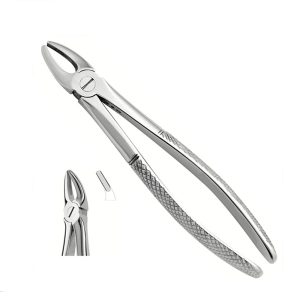 FORCEP-Nº-18-INGLES-GUESO-E