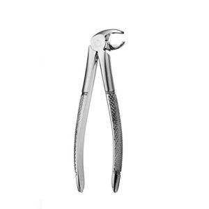 FORCEP-PICO-LORO-GRUESO-ADU